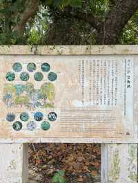 星の砂ビーチ、カイジ浜で星の砂を探そう💫🌴