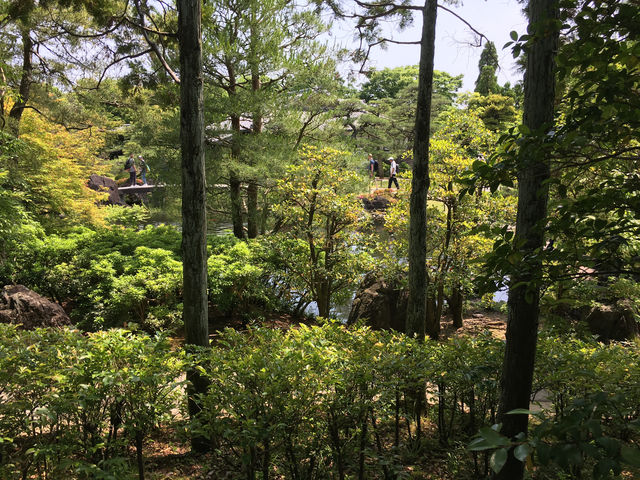 悠然漫步好古園：姬路城的靜謐之美