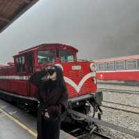 อุทยานแห่งชาติอาลีซาน นั่งรถไฟชมวิวป่าสนพันปี