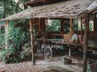 🌱 บ้านชาในป่าฝน ร้านน้ำชาแบบบ้านๆ เมืองนครฯ