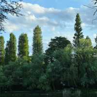 「交通公園～大自然恬靜」