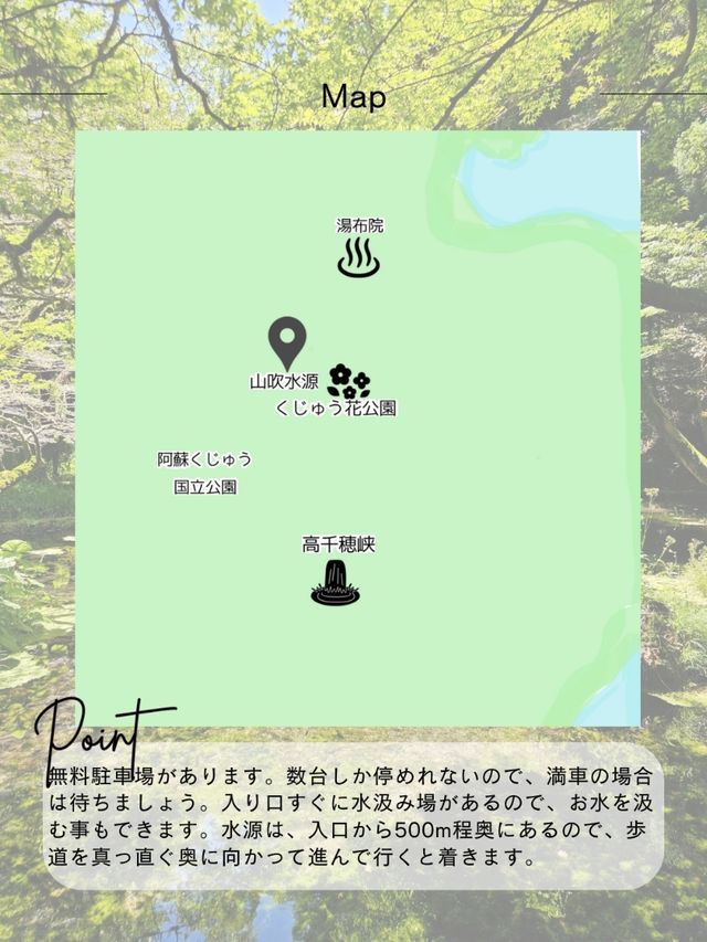 【熊本/ジブリの世界】秘境にあった、美しすぎる水源✨️