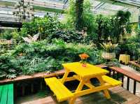 Country Herb Farm 허브나라농원