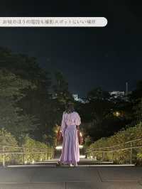 【 神奈川/ 小田原 】あじさいライトアップかなり穴場