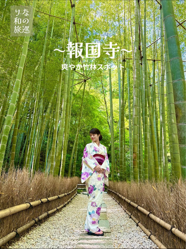 〜神奈川県〜1度は行こう🎋爽やか鎌倉の名スポット