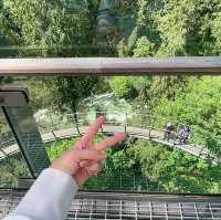 North Vancouver에 자연경관이 멋진 공원Capilano suspension Bridge Park
