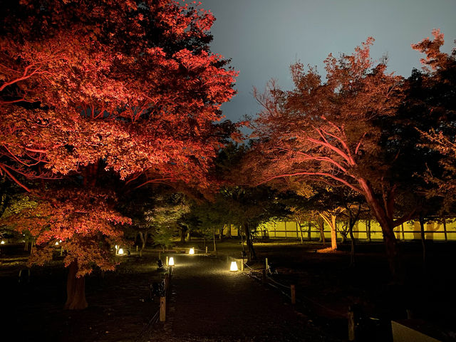 世界遺產. 二条城