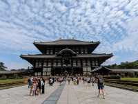 日本奈良-參拜世界遺產的青銅巨佛：東大寺