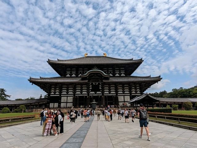 日本奈良-參拜世界遺產的青銅巨佛：東大寺
