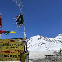 Shinkula Top - The Heaven Like Place 