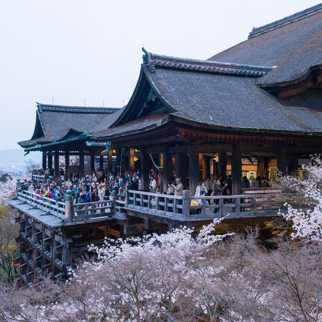 京都清水寺：千年古都的隱世秘境，感受千年文化的寧靜