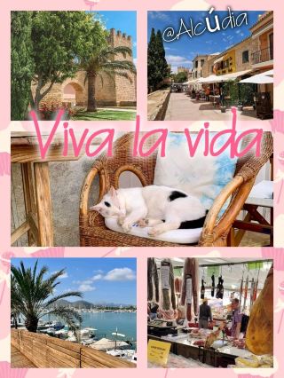 【西班牙馬略卡島】Alcúdia：海灘，市場，四季好天氣