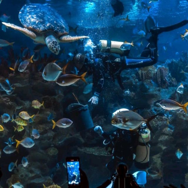🌊 Dive into the Depths of Aquaria KLCC! 🌊