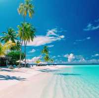 The Bikini Beach