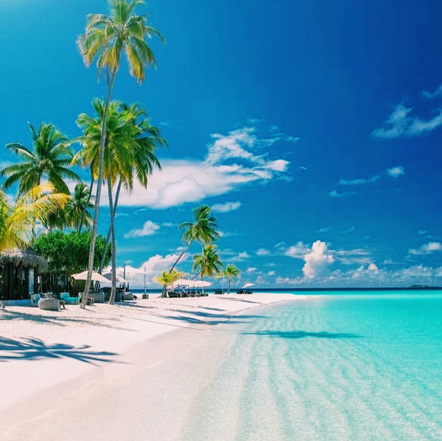 The Bikini Beach