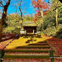 〜神奈川県〜鎌倉映えスポット！円覚寺