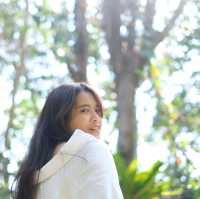 The Wonderer cafe 