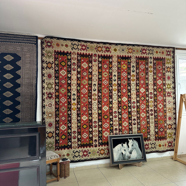 🇹🇷 Matis Carpet