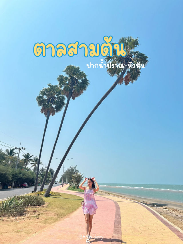 จุดเช็คอินสุดป๊อป… ต้นตาล 3 ต้น อ่าวปราณ