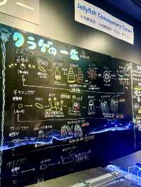 【日本東北】加茂水族館：世一水母水族館，深藍色水槽前夢幻打卡