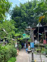 บ้านข้างวัด | เชียงใหม่ 🏡🎨🌿🥤