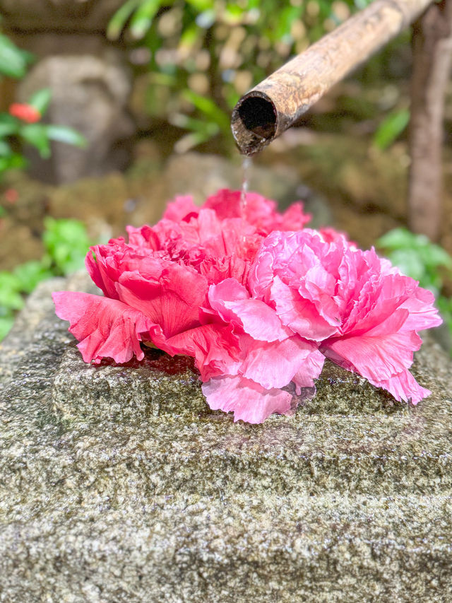 【島根】期間限定の絶景の庭園🌼 🌸【由志園の牡丹祭り】🌸