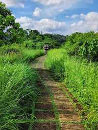 The Campuhan Ridge Walk, a nature escapade in Ubud, Bali