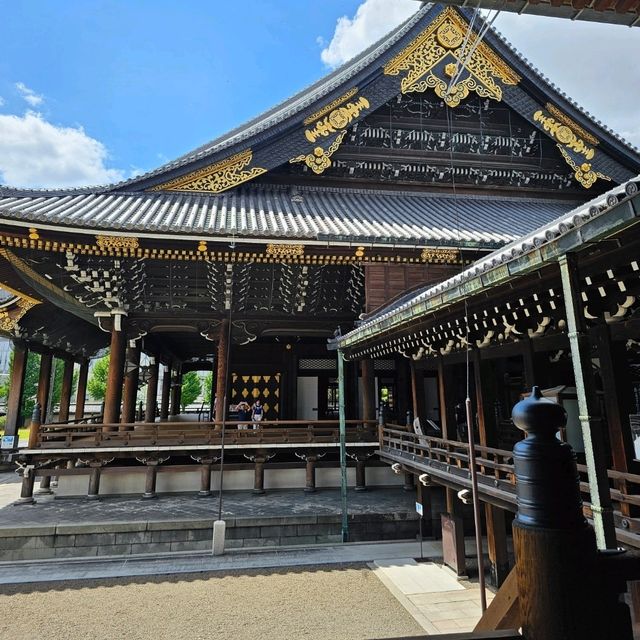 세계에서 가장 큰 목조절🏯 교토에서 공짜로 힐링하기!