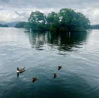 Tranquil Escapes: Unearthing the Timeless Beauty of the Lake District