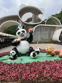 A must in Chengdu!  Chengdu main’s attractions! 🐼 Giant Panda Base 