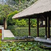 Slow travel ✨ 5 Days 4 Nights in Bali: Eat, Pray, Love