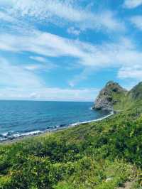 【糸島】まるでジブリの世界のような天然アートの島♪