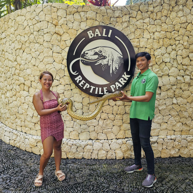 Looking for a friendly Pet at Bali Reptile Park