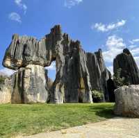 How a bout a stone forest?