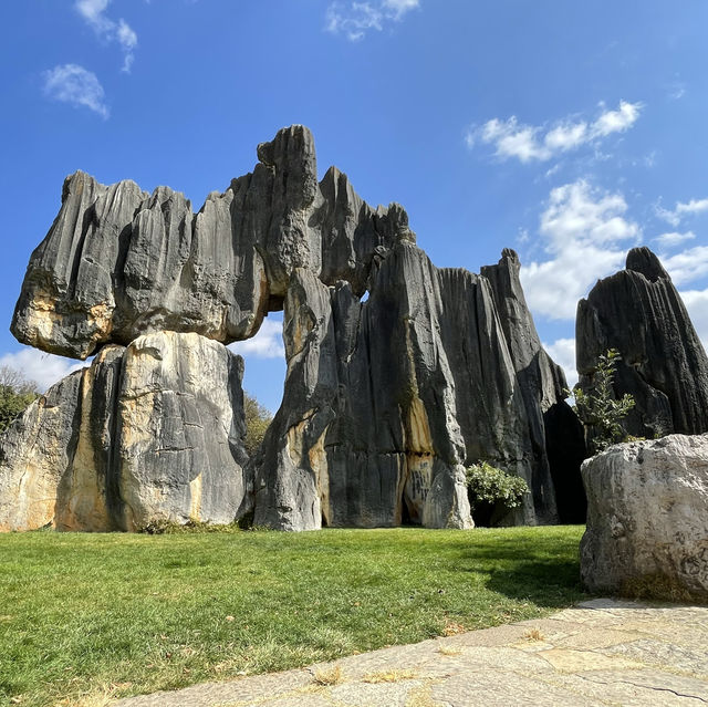 How a bout a stone forest?