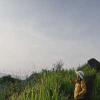 ดอยผาสามเหลี่ยม - เชียงใหม่ 