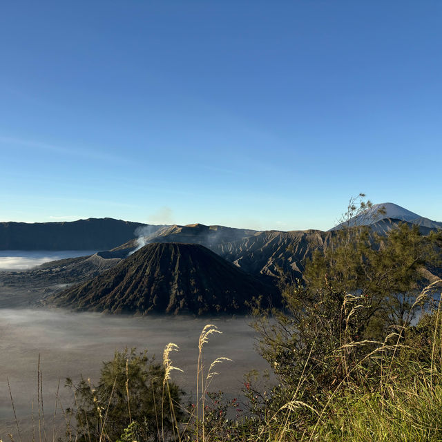 Catching Sunrise at Mt. Bromo by 4WD