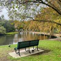 格林威治公園🔆綠意世外桃源