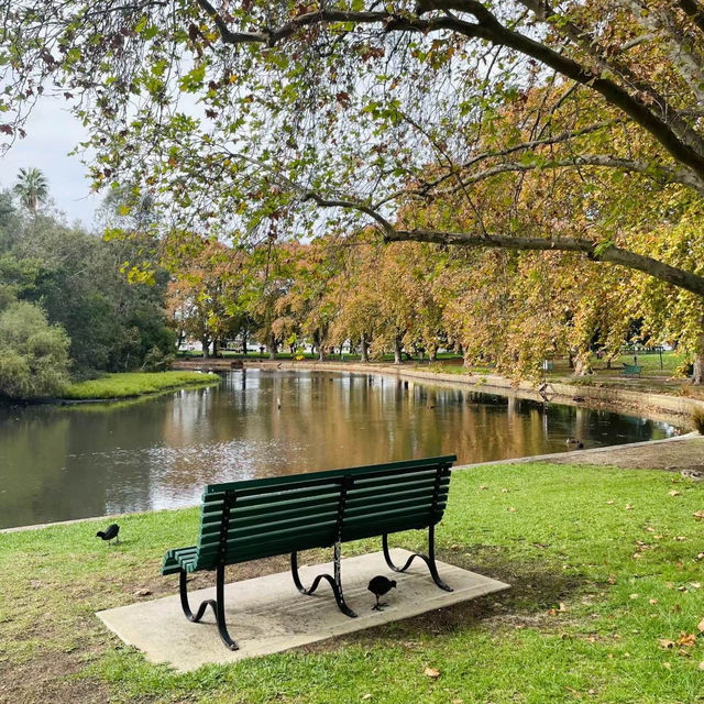 格林威治公園🔆綠意世外桃源