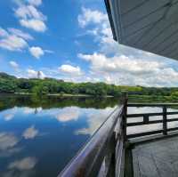 【大阪観光】雨上がりの山田池公園で夏散歩！