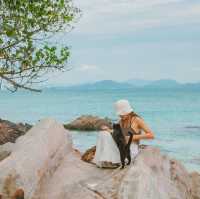 เกาะแมว สวรรค์ของเหล่าทาส! 🐈🏝