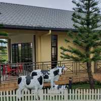 A Slice of Alpine Heaven: Discover the Tranquil Landscapes of Kundasang, Sabah