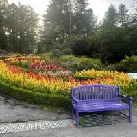 Theme Visit to the Garden of Morning Calm 🇰🇷