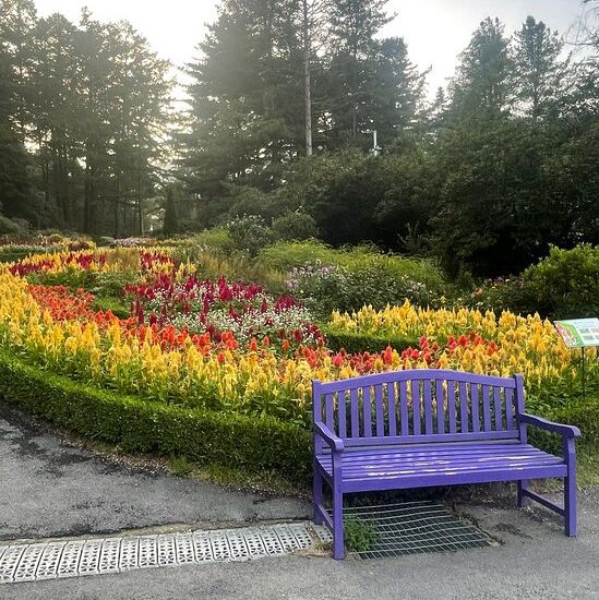 Theme Visit to the Garden of Morning Calm 🇰🇷