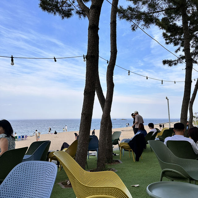 푸르른 동해안의 멋진 데이트장소 고성🌊