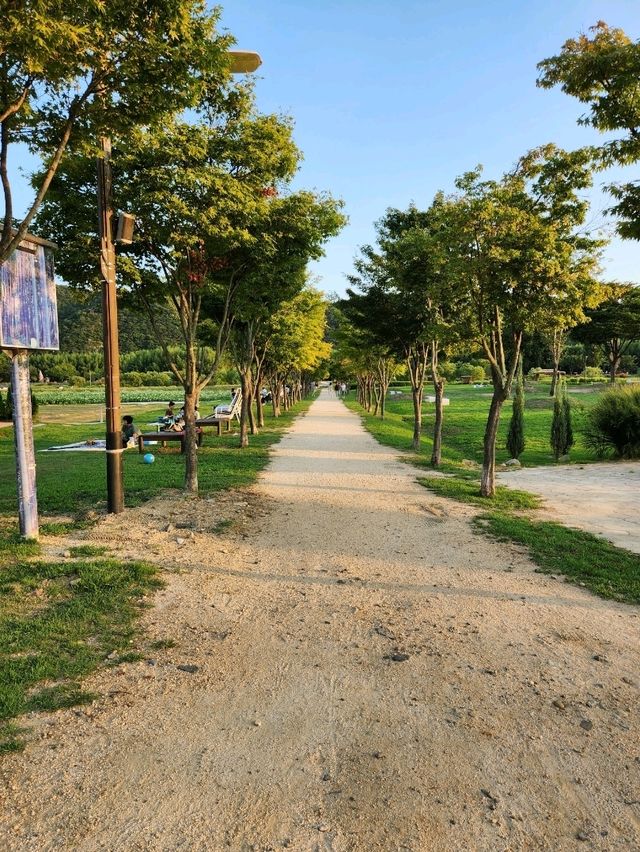 평화로운 야외데이트장소 태화강국가정원❤️