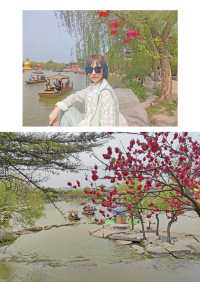 集當代書法大全藝術風采：中國翰園