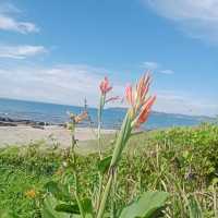 千葉房総半島