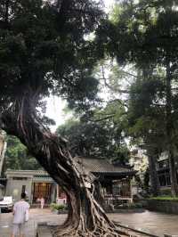 Visit to Liurong Temple in Guangzhou, China 🇨🇳