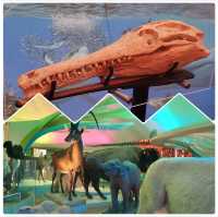 【8月好去處】墨西哥自由行：《Museo de Historia Natural》- 學習宇宙起源，適合親子遊！